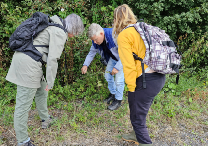 006280_2025-spaarnwoude-natuurmarathon-01.png
