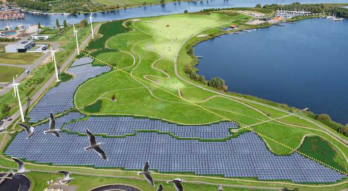 Zonneweide Schoteroog - Spaarnwoude park