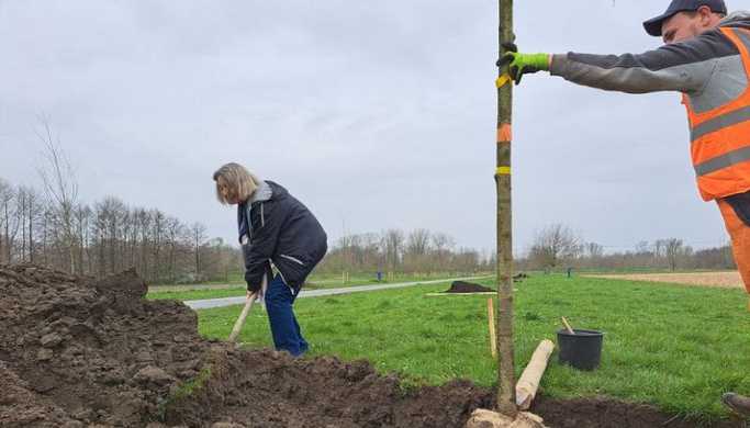 2024 Persbericht aanplant abelen voor de Plesmanhoek