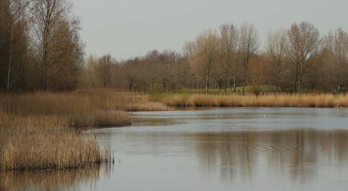 Natuurvriendelijke oevers Haarlemmermeerpolder