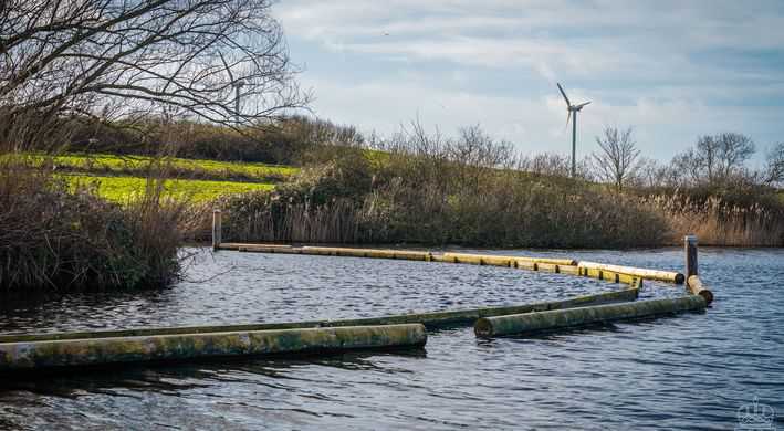 2026 Natuurvriendelijke oevers