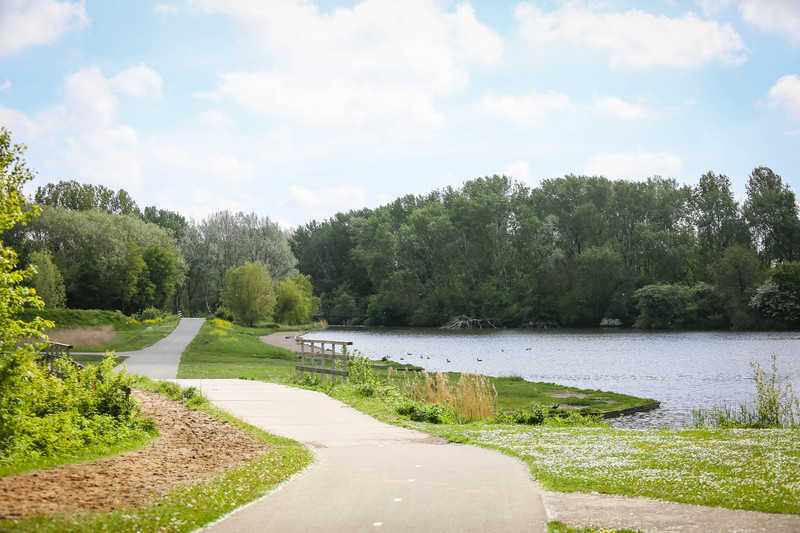 2021&nbsp;Houtrak&nbsp;de&nbsp;vijver&nbsp;//&nbsp;2021_juni_houtrak_10.jpg&nbsp;(55&nbsp;K)