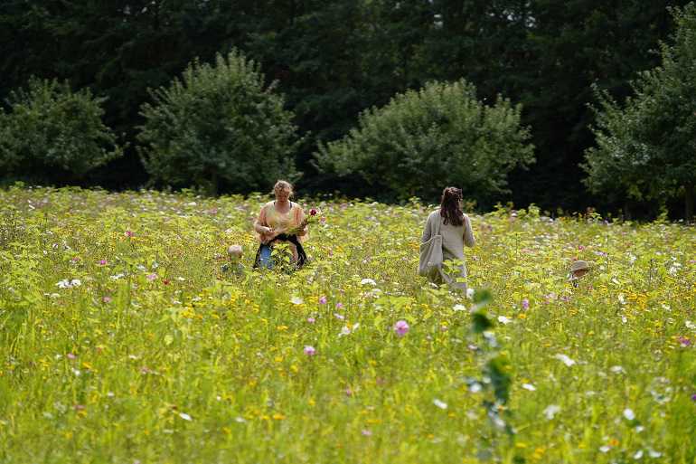 2024&nbsp;plesmanhoek&nbsp;bloemenweide&nbsp;//&nbsp;spaarnwoude_park_plesmanhoek_bloemenplukweide.jpg&nbsp;(59&nbsp;K)