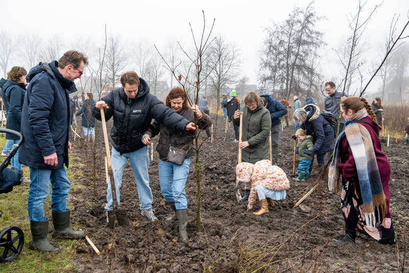 2026 Boomplantdag planten // 20251010-cn-2298.jpg (86 K)
